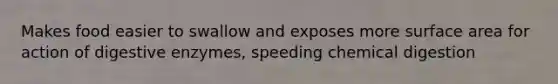 Makes food easier to swallow and exposes more surface area for action of digestive enzymes, speeding chemical digestion