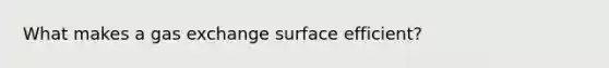 What makes a gas exchange surface efficient?