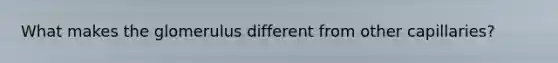 What makes the glomerulus different from other capillaries?