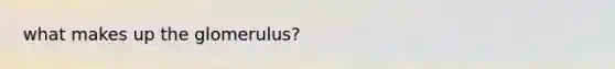 what makes up the glomerulus?