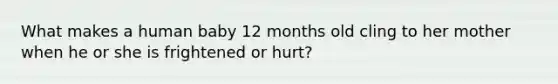 What makes a human baby 12 months old cling to her mother when he or she is frightened or hurt?