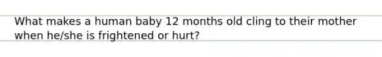 What makes a human baby 12 months old cling to their mother when he/she is frightened or hurt?