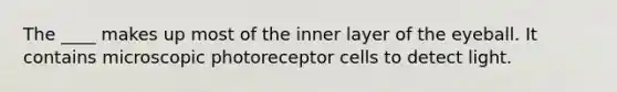 The ____ makes up most of the inner layer of the eyeball. It contains microscopic photoreceptor cells to detect light.