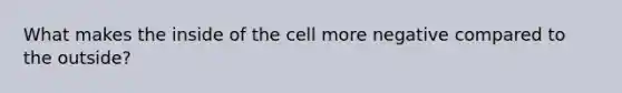 What makes the inside of the cell more negative compared to the outside?