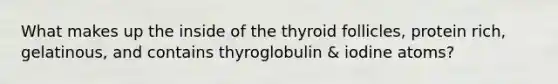 What makes up the inside of the thyroid follicles, protein rich, gelatinous, and contains thyroglobulin & iodine atoms?