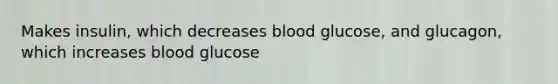 Makes insulin, which decreases blood glucose, and glucagon, which increases blood glucose