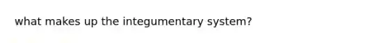 what makes up the integumentary system?