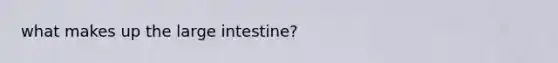 what makes up the large intestine?
