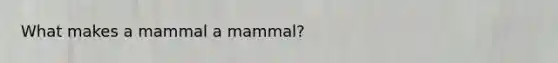 What makes a mammal a mammal?