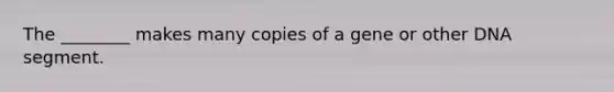 The ________ makes many copies of a gene or other DNA segment.