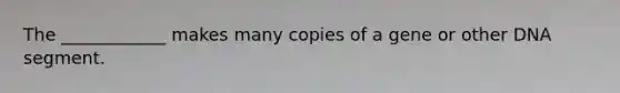 The ____________ makes many copies of a gene or other DNA segment.