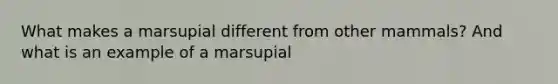 What makes a marsupial different from other mammals? And what is an example of a marsupial