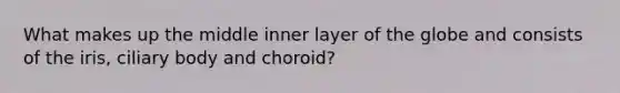 What makes up the middle inner layer of the globe and consists of the iris, ciliary body and choroid?