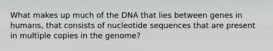 What makes up much of the DNA that lies between genes in humans, that consists of nucleotide sequences that are present in multiple copies in the genome?