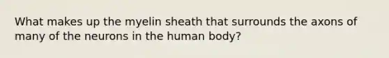 What makes up the myelin sheath that surrounds the axons of many of the neurons in the human body?