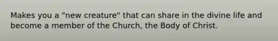 Makes you a "new creature" that can share in the divine life and become a member of the Church, the Body of Christ.