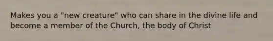 Makes you a "new creature" who can share in the divine life and become a member of the Church, the body of Christ