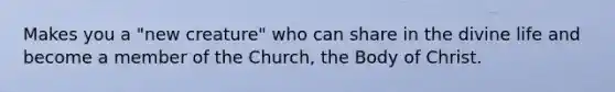 Makes you a "new creature" who can share in the divine life and become a member of the Church, the Body of Christ.