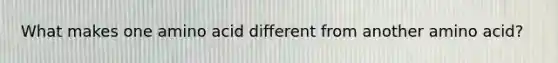 What makes one amino acid different from another amino acid?