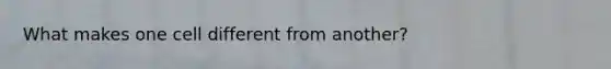 What makes one cell different from another?