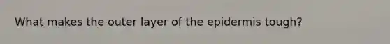 What makes the outer layer of the epidermis tough?