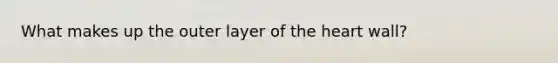 What makes up the outer layer of <a href='https://www.questionai.com/knowledge/kya8ocqc6o-the-heart' class='anchor-knowledge'>the heart</a> wall?