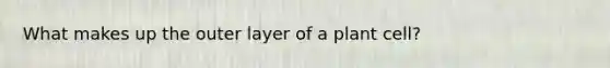 What makes up the outer layer of a plant cell?