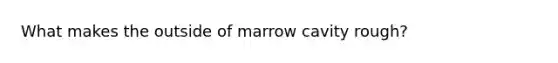 What makes the outside of marrow cavity rough?