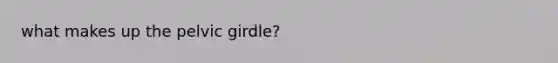 what makes up the pelvic girdle?