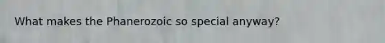 What makes the Phanerozoic so special anyway?
