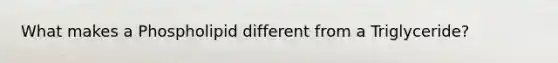 What makes a Phospholipid different from a Triglyceride?