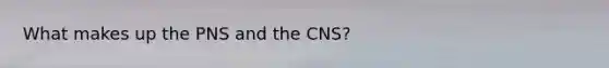 What makes up the PNS and the CNS?