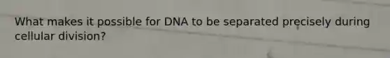 What makes it possible for DNA to be separated precisely during cellular division?