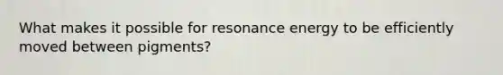 What makes it possible for resonance energy to be efficiently moved between pigments?