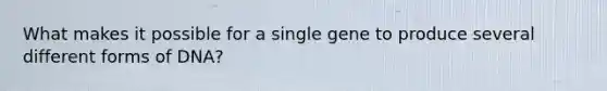 What makes it possible for a single gene to produce several different forms of DNA?