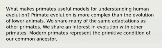 What makes primates useful models for understanding human evolution? Primate evolution is more complex than the evolution of lower animals. We share many of the same adaptations as other primates. We share an interest in evolution with other primates. Modern primates represent the primitive condition of our common ancestor.