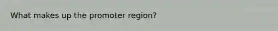 What makes up the promoter region?