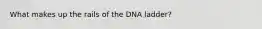 What makes up the rails of the DNA ladder?