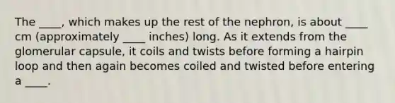 The ____, which makes up the rest of the nephron, is about ____ cm (approximately ____ inches) long. As it extends from the glomerular capsule, it coils and twists before forming a hairpin loop and then again becomes coiled and twisted before entering a ____.