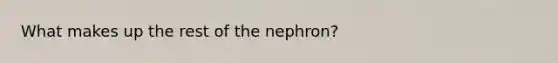 What makes up the rest of the nephron?