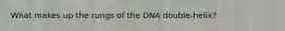 What makes up the rungs of the DNA double-helix?