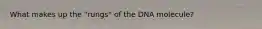 What makes up the "rungs" of the DNA molecule?