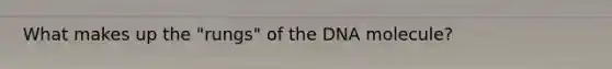 What makes up the "rungs" of the DNA molecule?