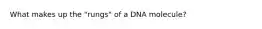 What makes up the "rungs" of a DNA molecule?