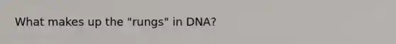 What makes up the "rungs" in DNA?