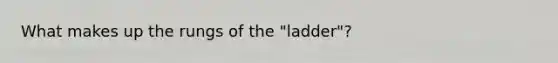 What makes up the rungs of the "ladder"?