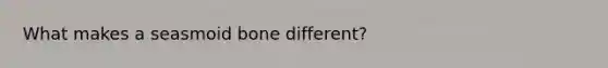 What makes a seasmoid bone different?