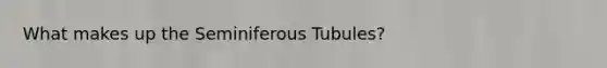 What makes up the Seminiferous Tubules?