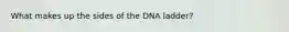 What makes up the sides of the DNA ladder?