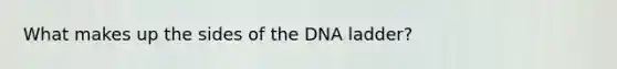 What makes up the sides of the DNA ladder?